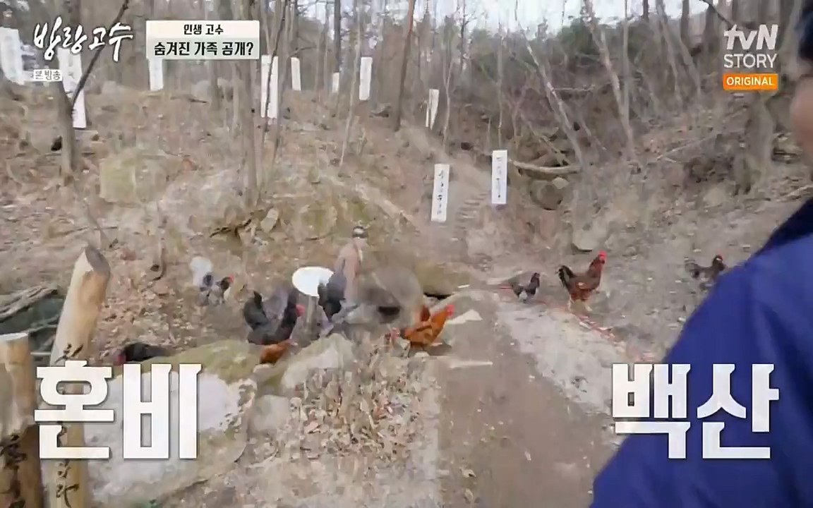 방랑고수.E03.220413p-NEXT.mp4_20220413_192248.040.jpg
