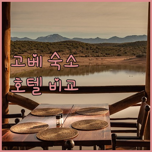 고베 숙소 고민 끝 호텔별 장단점 비