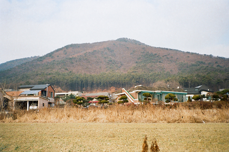 경기도 김포시 고막리 마을. 마을 뒤로 산이 있다.