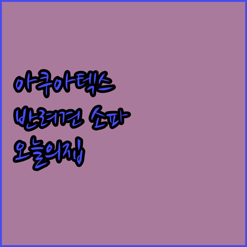 반려동물 키워도 괜찮아 오늘의집 아쿠