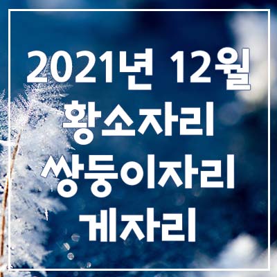  (황소자리, 쌍둥이자리, 게자리) 2021년 12월 은하별의 별자리 운세