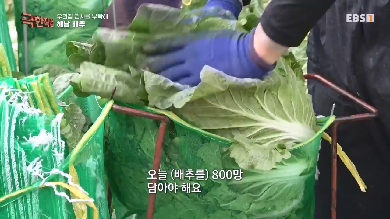 TV - 전 국민의 평생학교 EBS우리 집 김치를 부탁해.mp4_20231228_201808.325.jpg