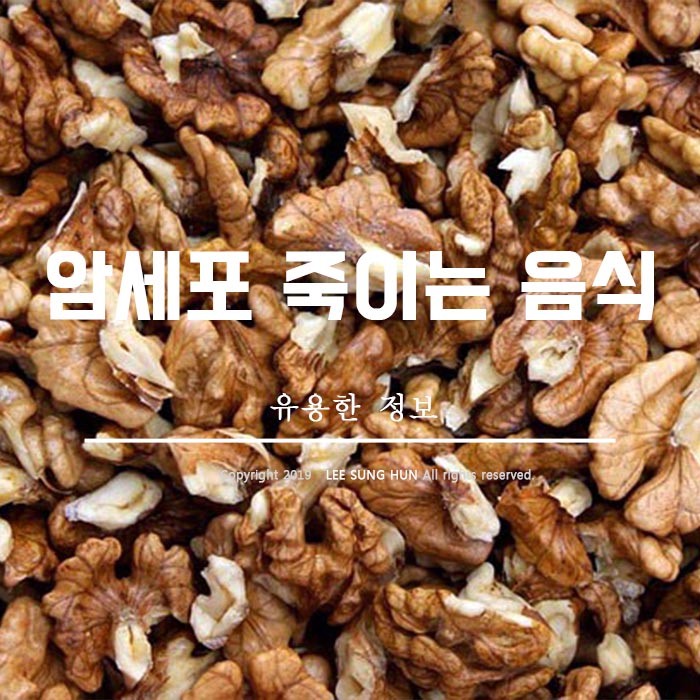 면역항암제 천연 음식 5가지 알아봤습니다.