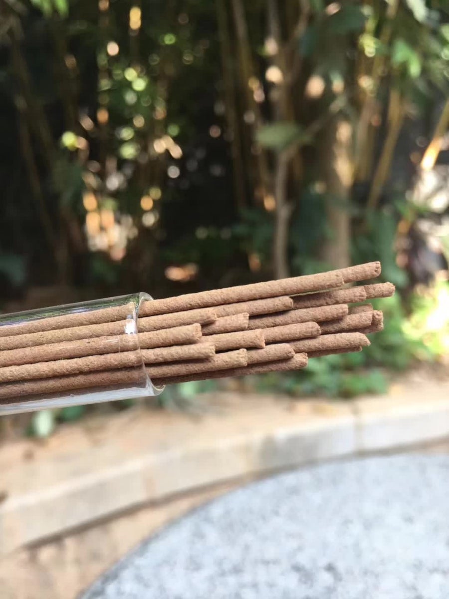 선향 이미지