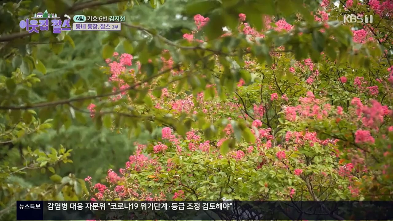 이웃집 찰스.E359.221019p.H264-F1RST.mp4_20221019_191149.600.jpg