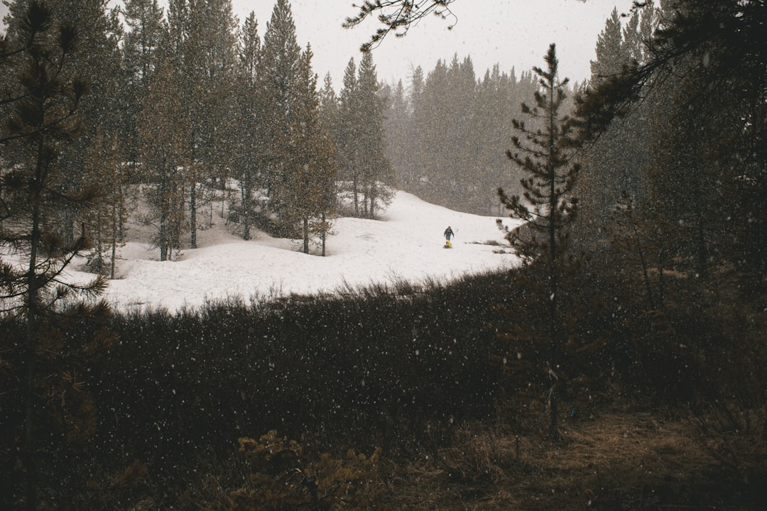 Sledding