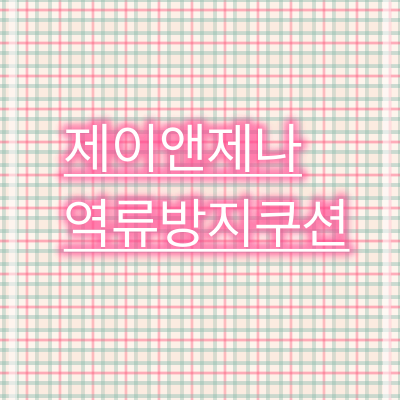 제이앤제나 역류방지쿠션