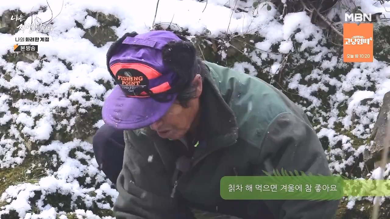 나는 자연인이다.E587.240104p-NEXT.mp4_20240104_195911.616.jpg