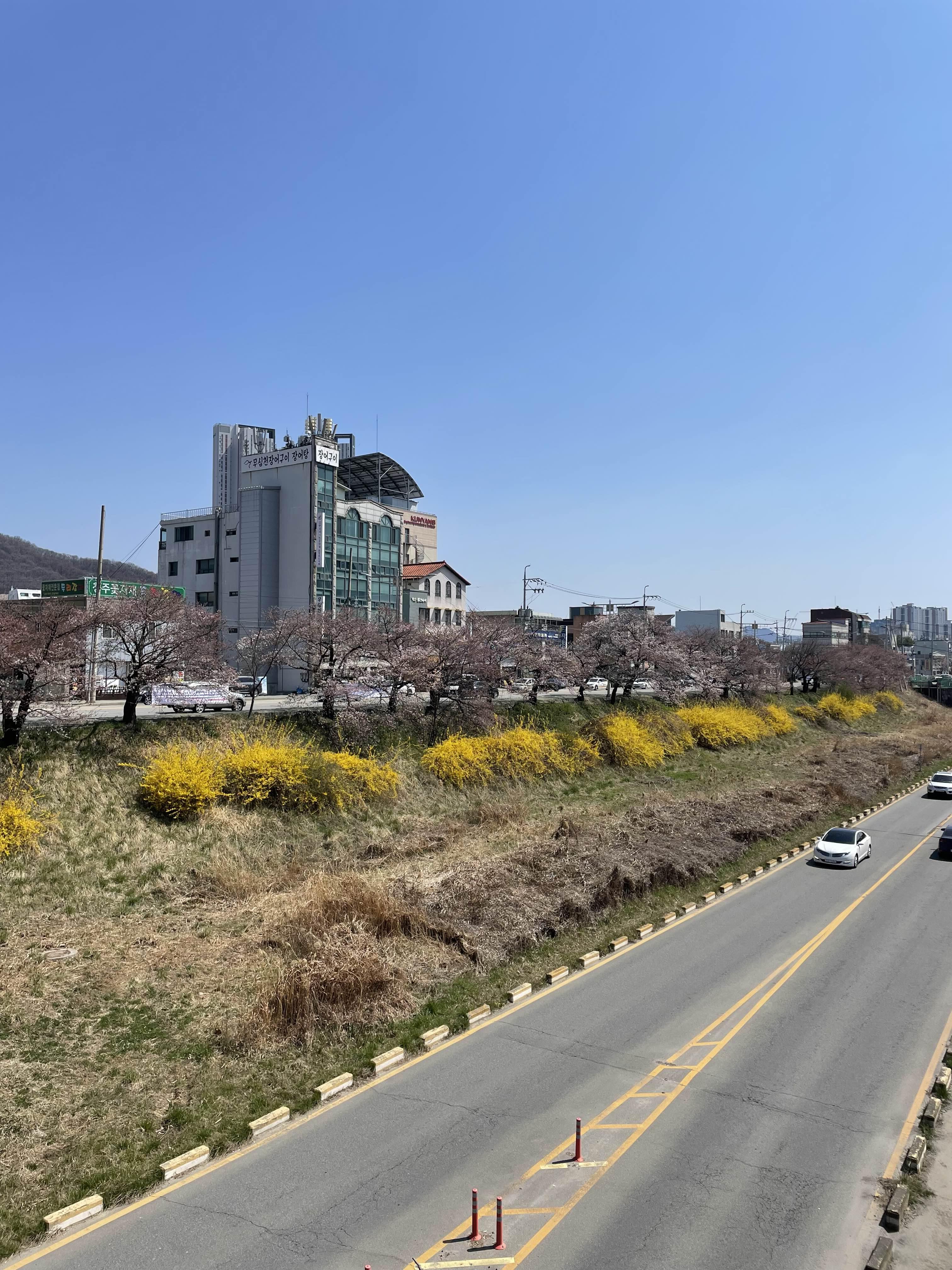 무심천 사진