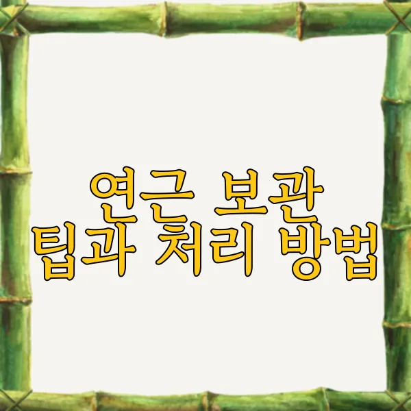 img.webp