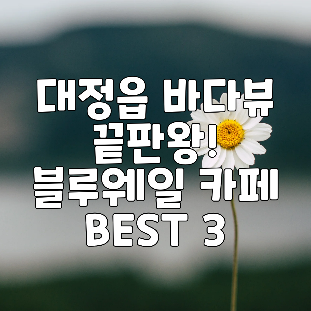 대정읍 바다뷰 끝판왕! 블루웨일 카페 BEST 3