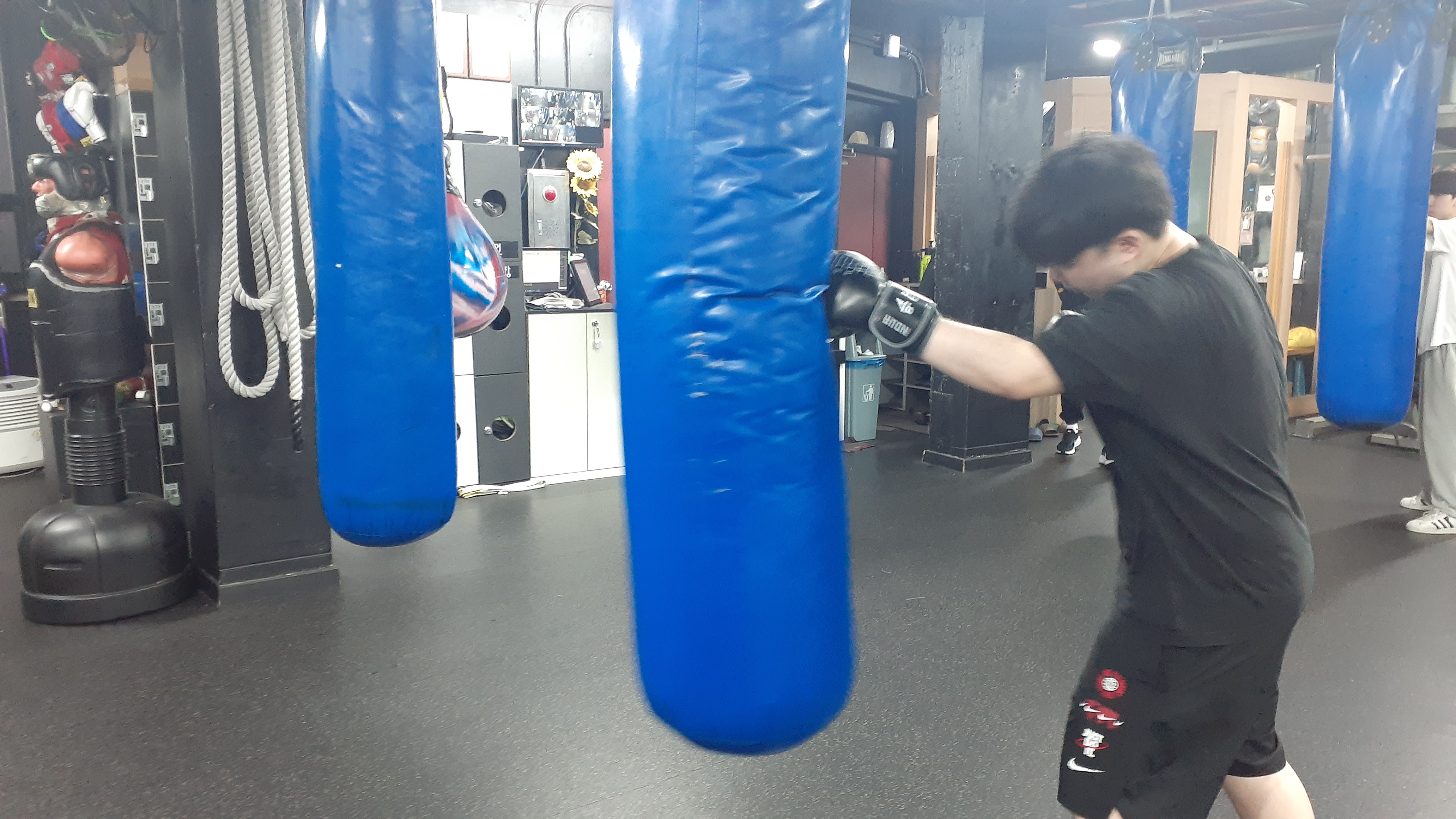 27. 3. 23. 양천구 복싱 대한복싱체육관 신정동 복싱 목동 복싱 신월동 복싱 경찰 무도 자격증 34