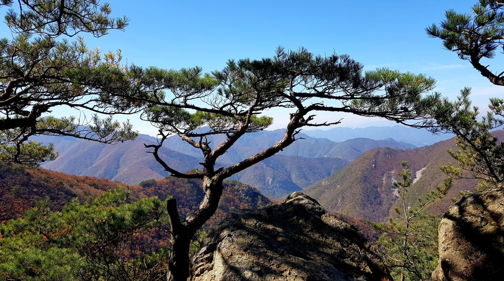 경북 청도 가을 단풍 계곡 산행