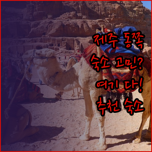 휘닉스 아일랜드부터 성산 마리나 호텔