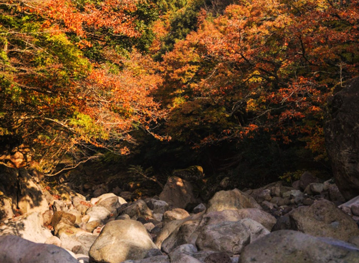 11월 제주도 가볼만한곳 10곳 알아보자