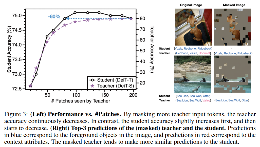 MaskedKD: Efficient Distillation of Vision Transformers with Masked ...