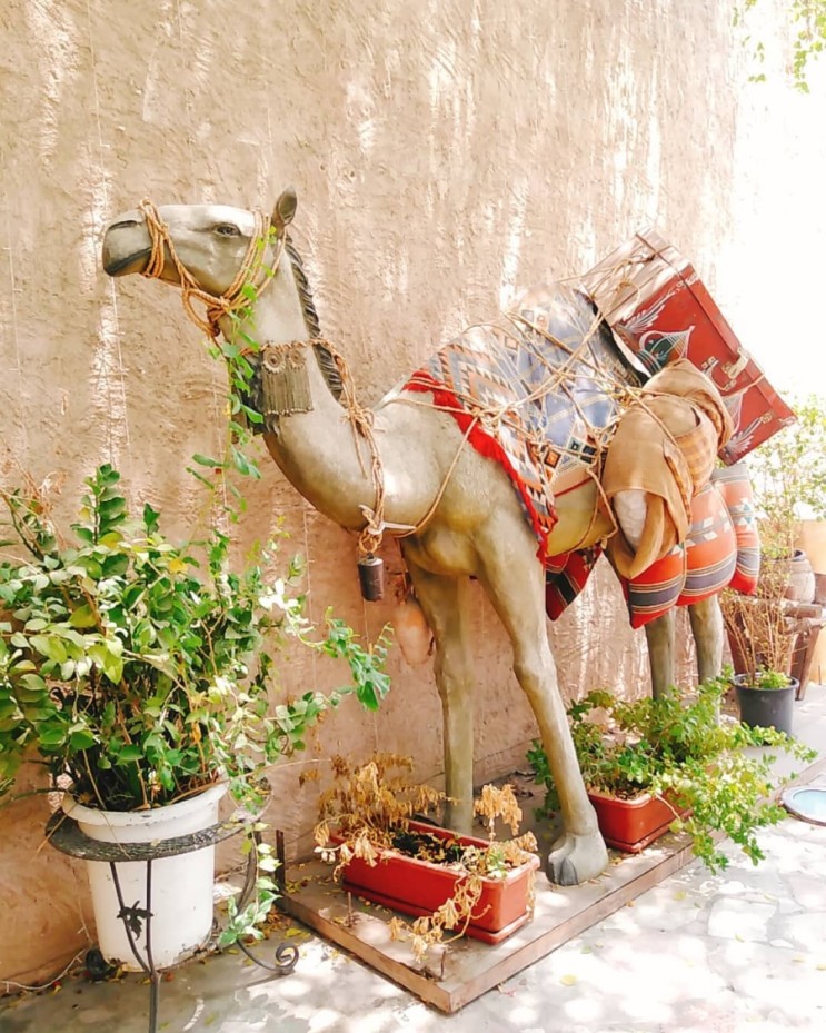 두바이 낙타 모형