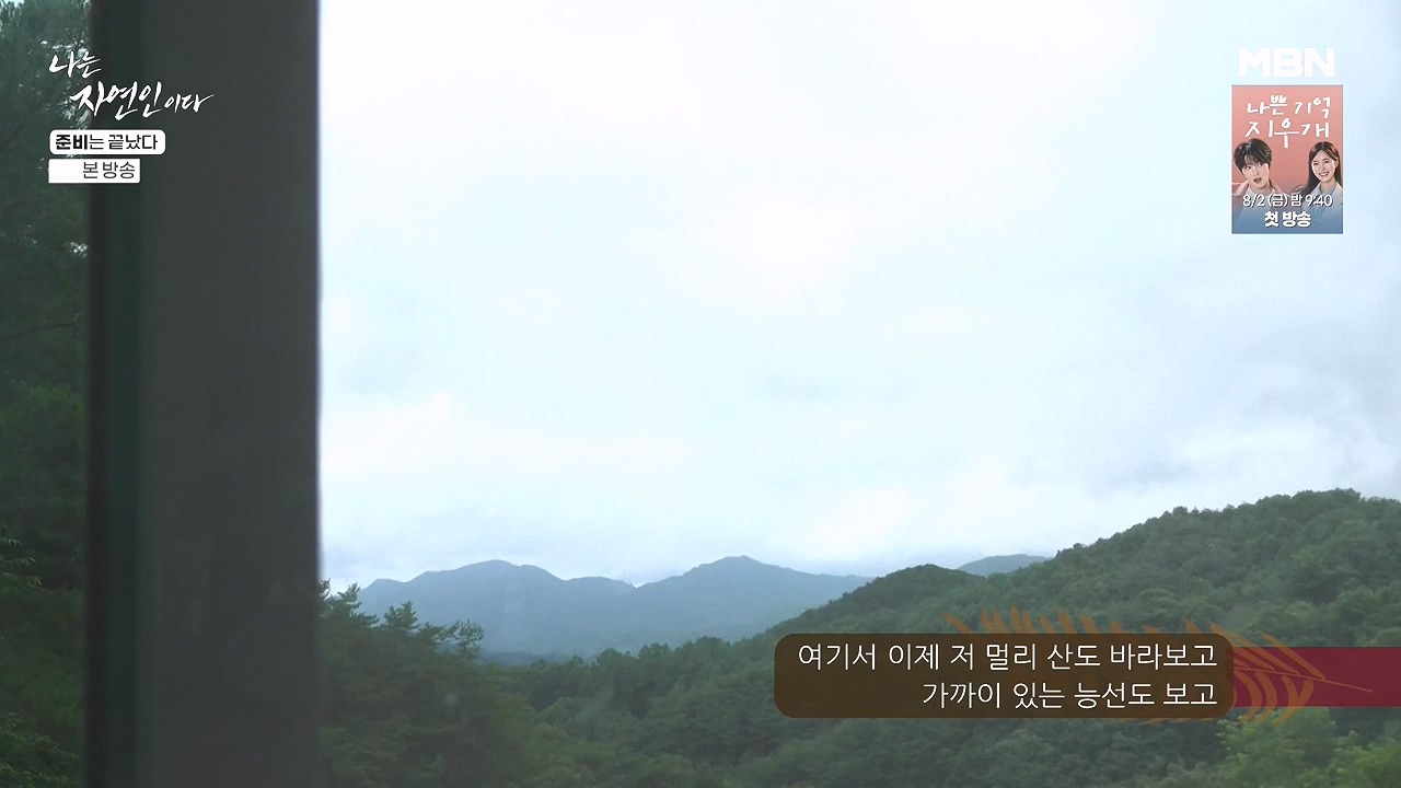 나는 자연인이다.E616.240732p-NEXT.mp4_20240801_195123.204.jpg