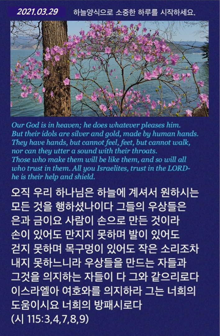 하늘29 이미지