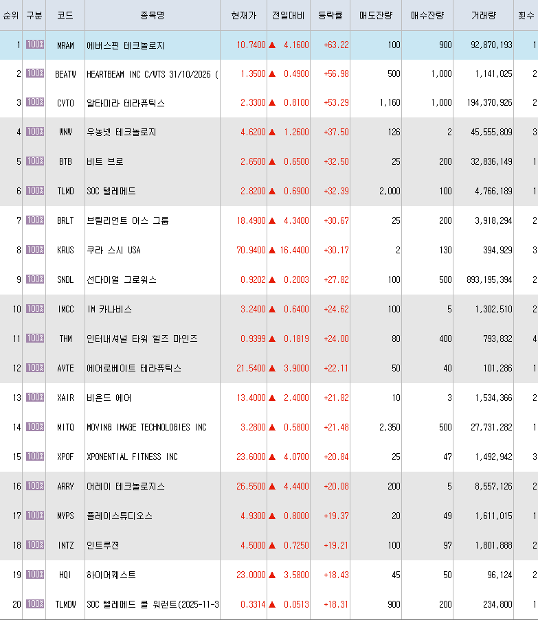  11월12일 미국주식 상승률 상위 종목 TOP 300