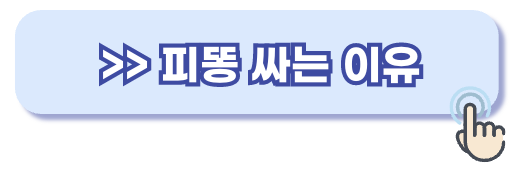 피똥싸는이유