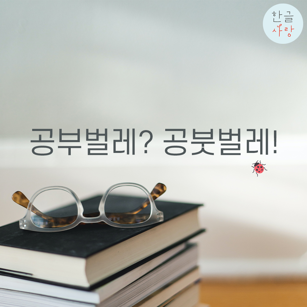  공붓벌레, 사이시옷을 기억하세요!