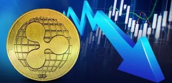 리플 SEC 소송_24