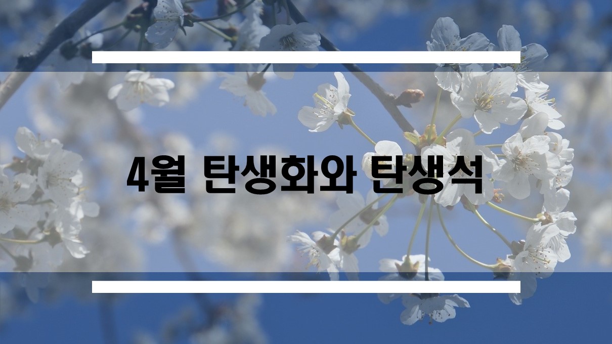  4월 탄생화와 탄생석은 무엇이며 어떤 뜻을 담고 있을까요?
