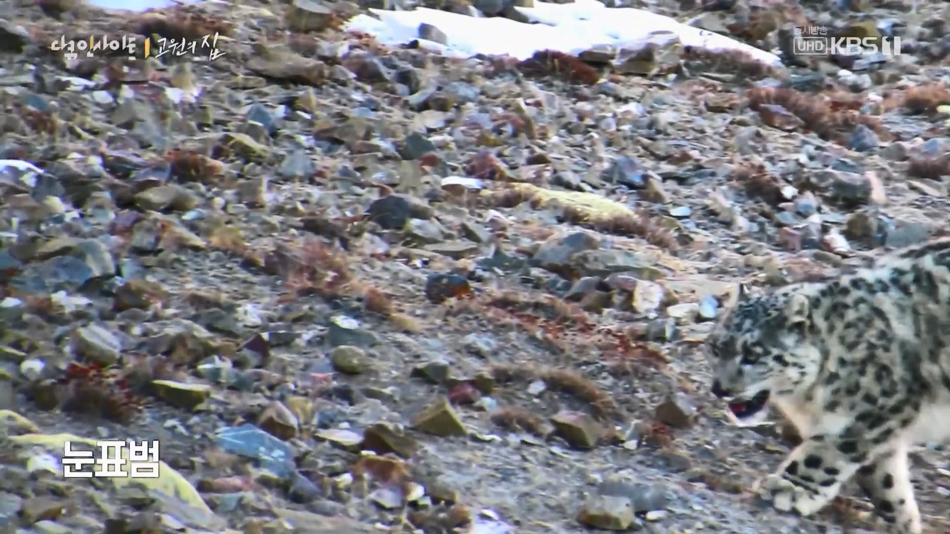 다큐 인사이트.E176.240328p.H264-F1RST.mp4_20240330_160614.761.jpg