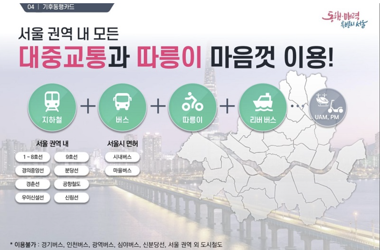서울 대중교통 무제한 정기권