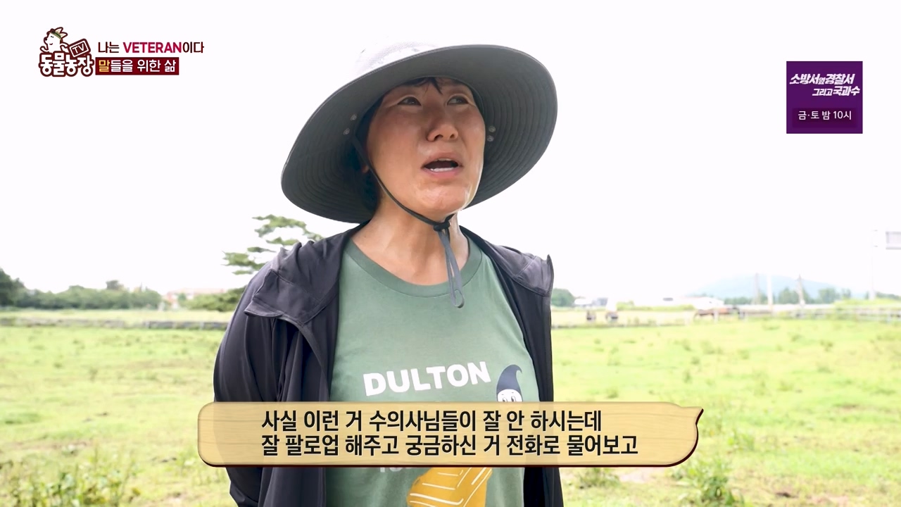 TV 동물농장.E1132.230807p-NEXT.mp4_20230806_164234.604.jpg