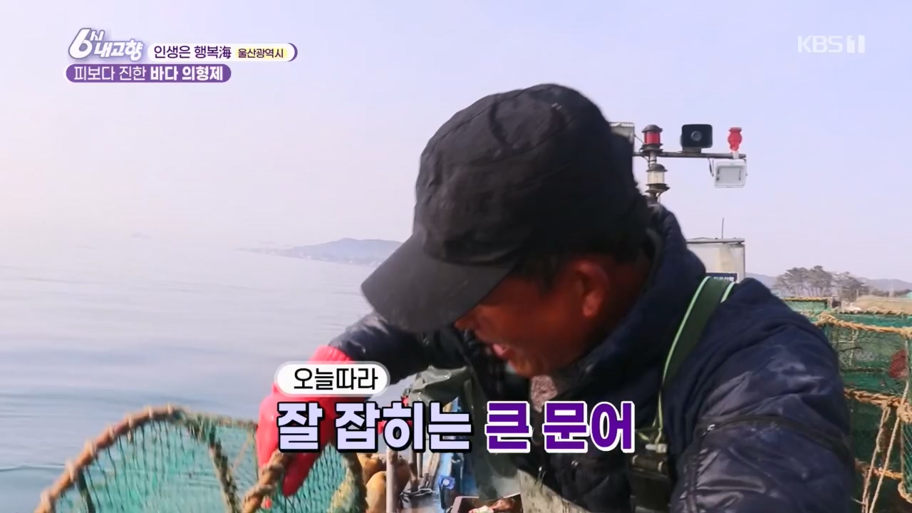 6시 내고향.E7763.230411p.H264-F1RST.mp4_20230411_203327.337.jpg