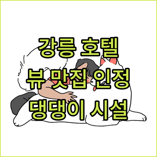 강릉 세인트존스 호텔, 뷰 맛집 인정