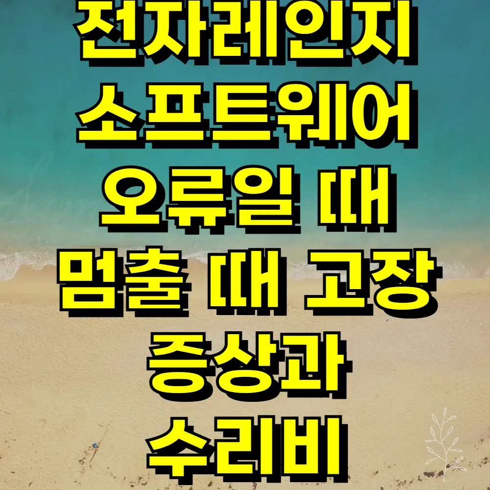 전자레인지 소프트웨어 오류일 때 멈출 때 고장 증상과 수리비