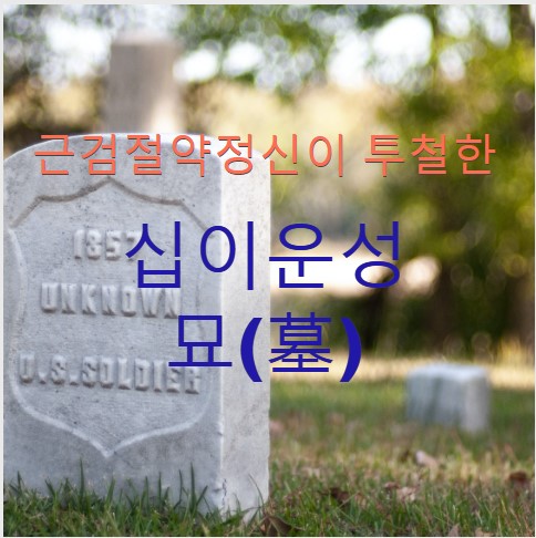  근검절약정신이 투철한, 십이운성 묘(墓)