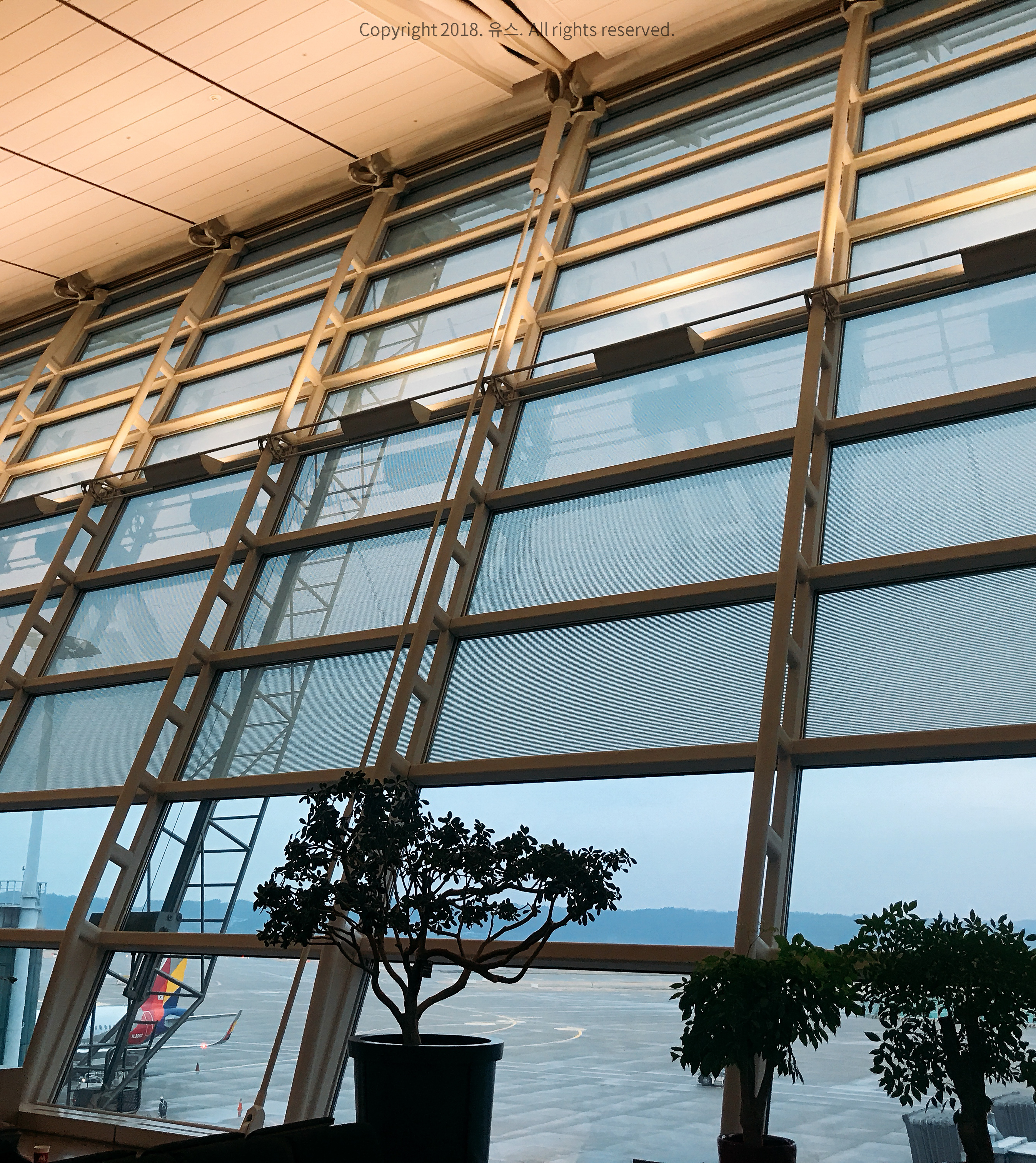 일본 교환학생