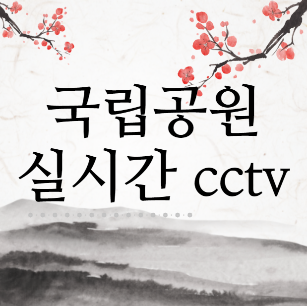  국립공원 실시간 cctv (모바일)