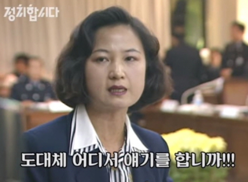 추미애 의원의 정치 활동