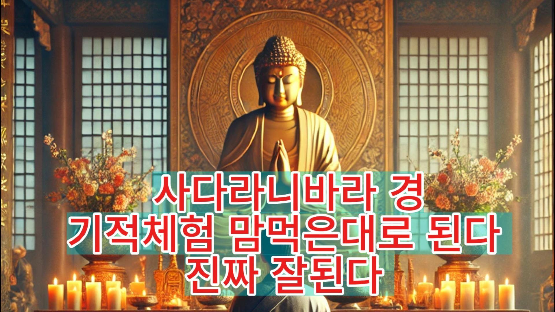 [소원성취대표기도발원문]천만뷰기적체험 사다라니바라경 듣고난후 반드시,맘먹은대로된다-잘된다진짜잘된다,千萬觀看奇蹟體驗慈悲佛陀一千万ビューの奇跡体験をもたらす慈悲深い仏さま、Đức Phật