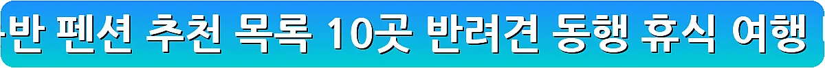 전국 애견동반 펜션 추천 목록 10곳 반려견 동행 휴식 여행_10