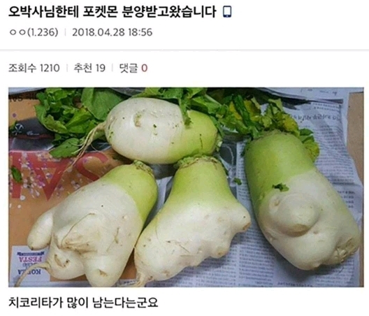  오박사님한테 포켓몬 분양받음