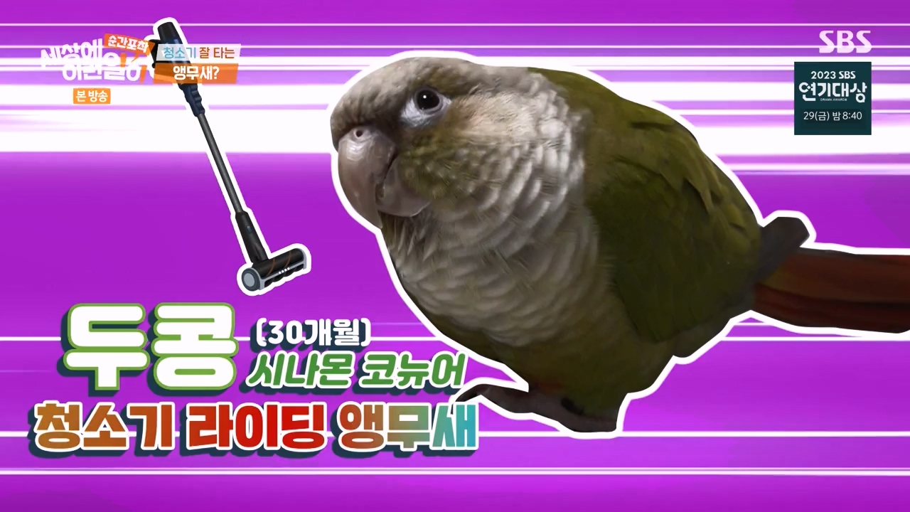 순간포착 세상에 이런일이.E1256.231217p-NEXT.mp4_20231217_175006.839.jpg