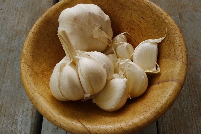  이런 증상이 있다면 마늘이 약 입니다 !! (마늘의 효능 및 치료)