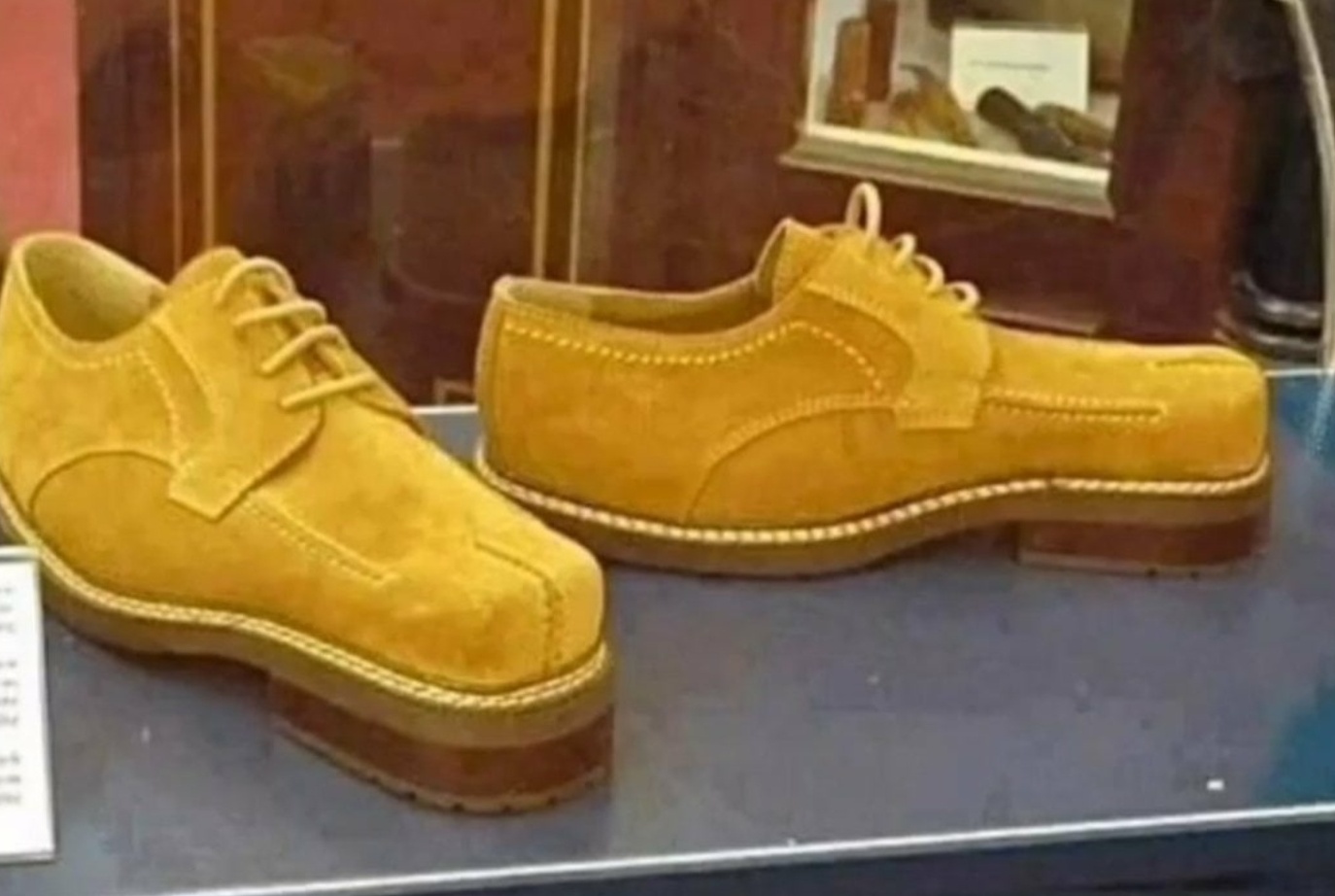 img.jpg