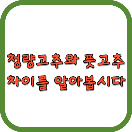  청양고추 풋고추 차이를 알아봅시다!