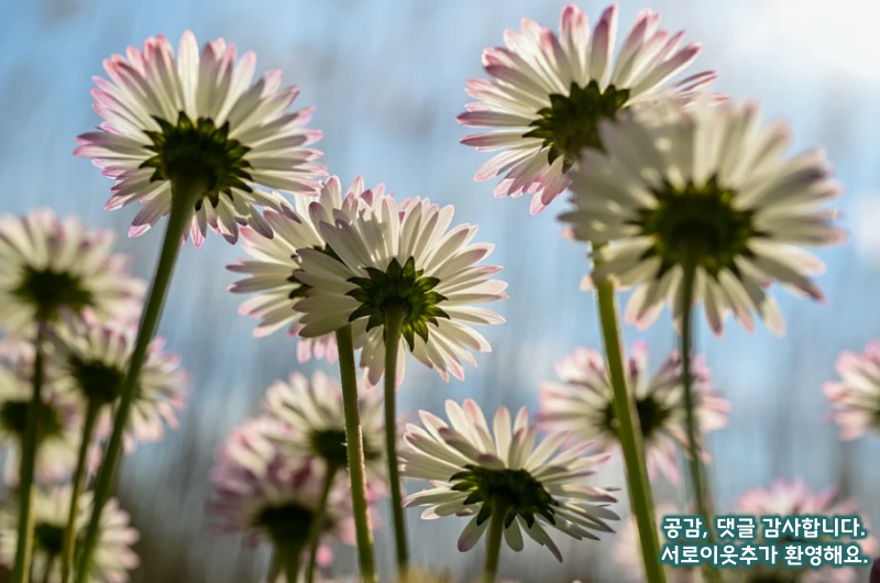 시력저하7