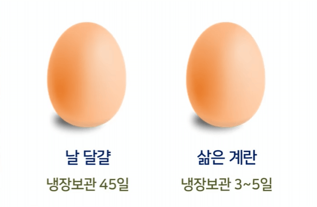 계란의 유통기간을 확인할수 있다