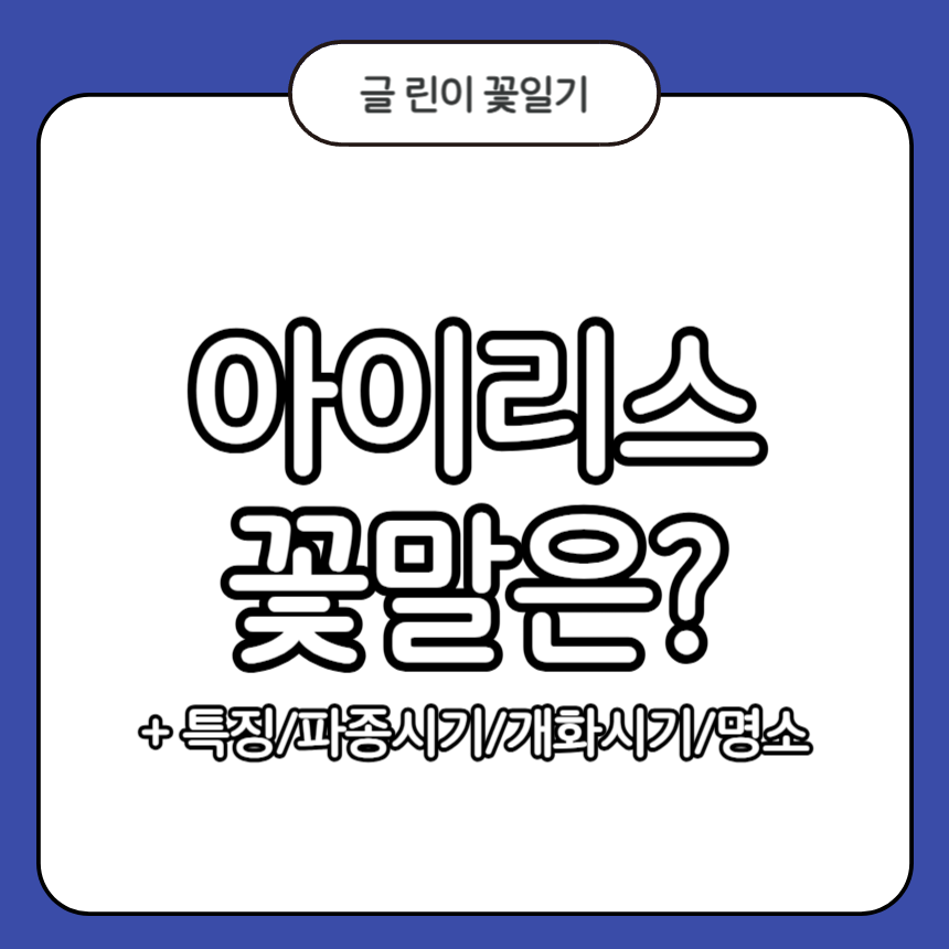 아이리스 꽃말