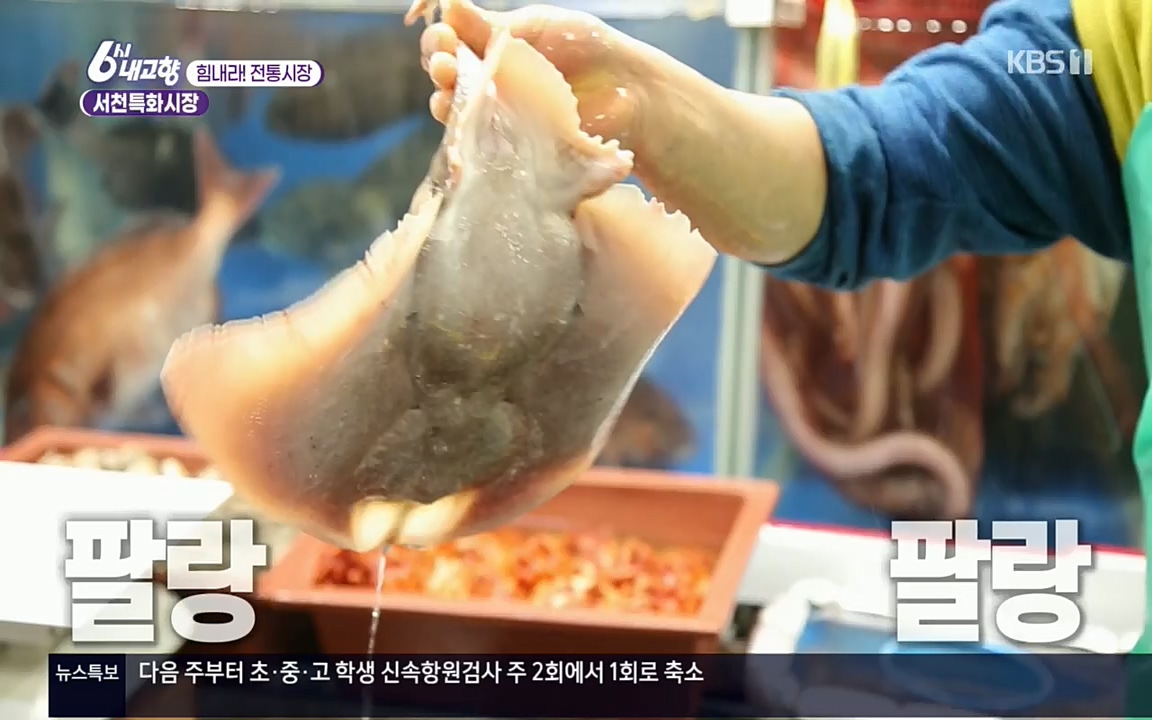 6시 내고향.E7511.220415p.H264-F1RST.mp4_20220425_174119.369.jpg
