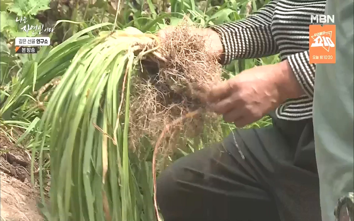 나는 자연인이다.E523.221013p.WANNA.mp4_20221013_201134.989.jpg